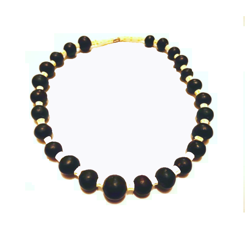 Collar Vértebras Y Coco